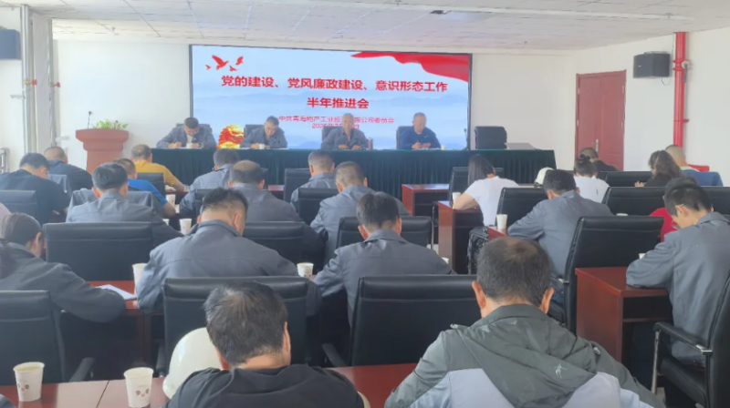 工投公司黨委召開黨的建設(shè)、黨風(fēng)廉政建設(shè)、意識形態(tài)工作半年推進(jìn)會