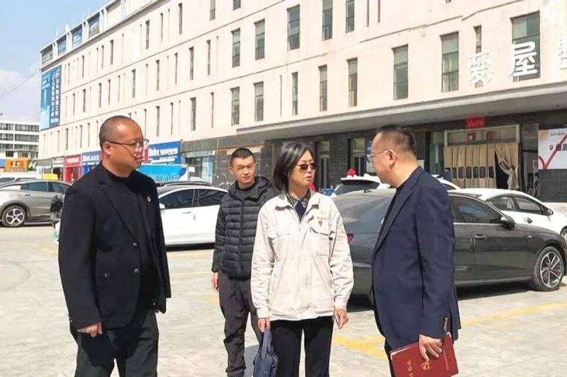 集團黨委書記、董事長劉玲赴現(xiàn)代物流公司調研